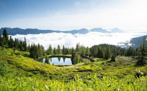Wertgutschein Geburtstag Planai & Hochwurzen